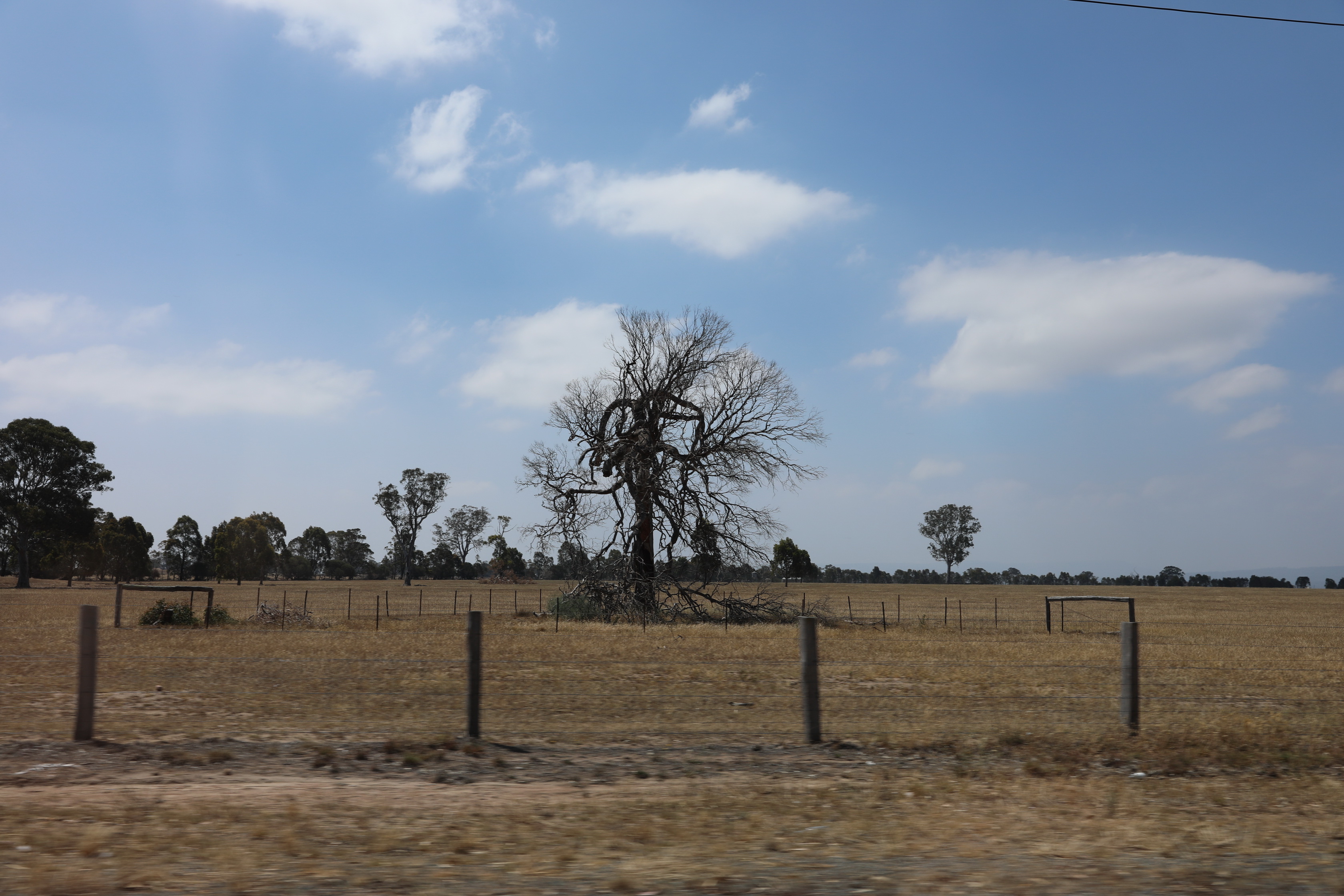 2019 12 26 14 49 38 Canon EOS 5D Mark IV 0003